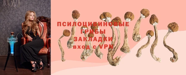 не бодяженный Белокуриха