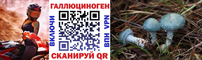 даркнет официальный сайт  купить наркотики цена  Краснокамск  Галлюциногенные грибы Psilocybine cubensis 